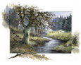 Enjoy Nature