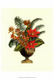 Exotic Flowers in Urn (P) I