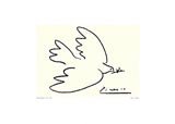 Dove of Peace