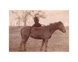 Girl on Stout Horse