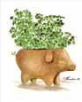 Clay Pig and Herbs