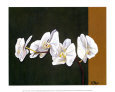 Orchid Study I