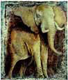 Elephant: Hommage a  Paul Bosman Animals Elephants