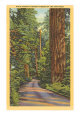 State Highway through the Northwest