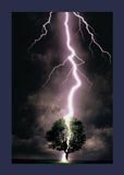 Thunderstorm Natural Phenomena & Weather Lightning