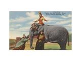 Circus Elephant and Clowns, Sarasota,  Florida