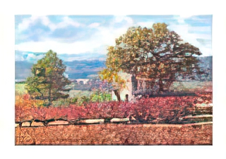 Bastide