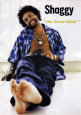 Shaggy - Mr. Lover Lover