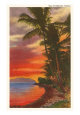 Palm Trees