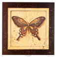 Ancient Butterfly II