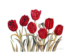 Tulips Too