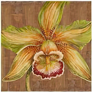 Aloha Beauty I