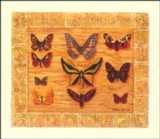 Papillons I