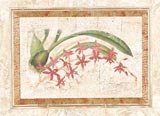 Ceylon Orchid I (S)