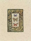 Butterfly Collage II