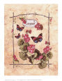 Geranium Butterfly