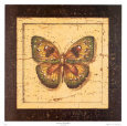 Ancient Butterfly I
