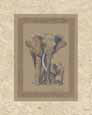 Elephants
