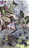 Pond with Boatman and Butterflies