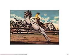 Rodeo I