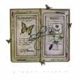 Garden Diary II Bugs & Insects Butterflies & Moths