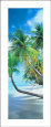 Palm Cove II