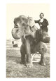 Circus Elephant and Trainer, 1915 Animals Elephants
