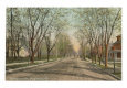 Lexington Avenue, Danville, Kentucky
