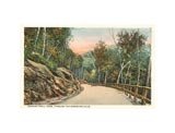 Mohawk Trail, Berkshire Hills, Mass.
