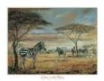 Zebras on the Plains