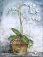 Orchid on Blue
