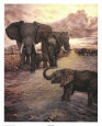 African Sunset