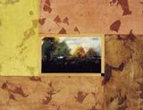 Bordered Beauty I