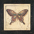 Ancient Butterfly II