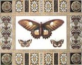 Three Butterflies I Bugs & Insects Butterflies & Moths
