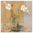 Orchid Variation I