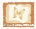 Butterfly II