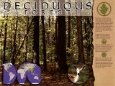 Deciduous Forest