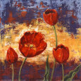 Ruby Red Tulips