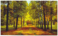 In the Fall II Scenic Streets & Roadways