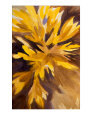 Crocuses