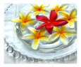 Glass Bowl of Plumeria