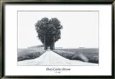 En Brie Scenic Streets & Roadways