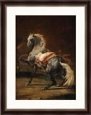 Dappled Grey Horse