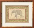 Indian Elephant