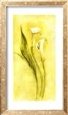 Graceful Calla Lilies II