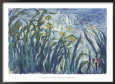 Yellow and Purple Irises, 1924-25
