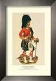 The Seaforth Highlanders