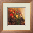 Poppy Reflection