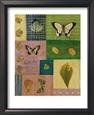 Butterflies II